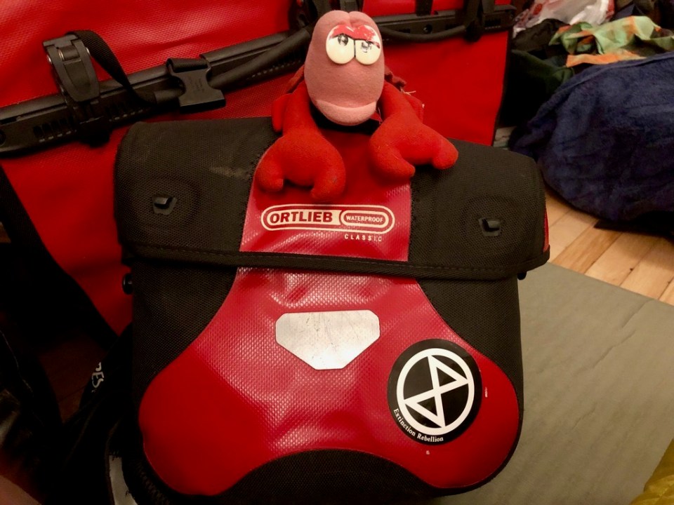 Travelling Lobster still going strong after nearly two weeks