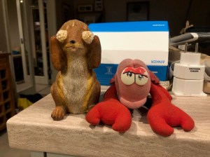 Travelling Lobster made it home