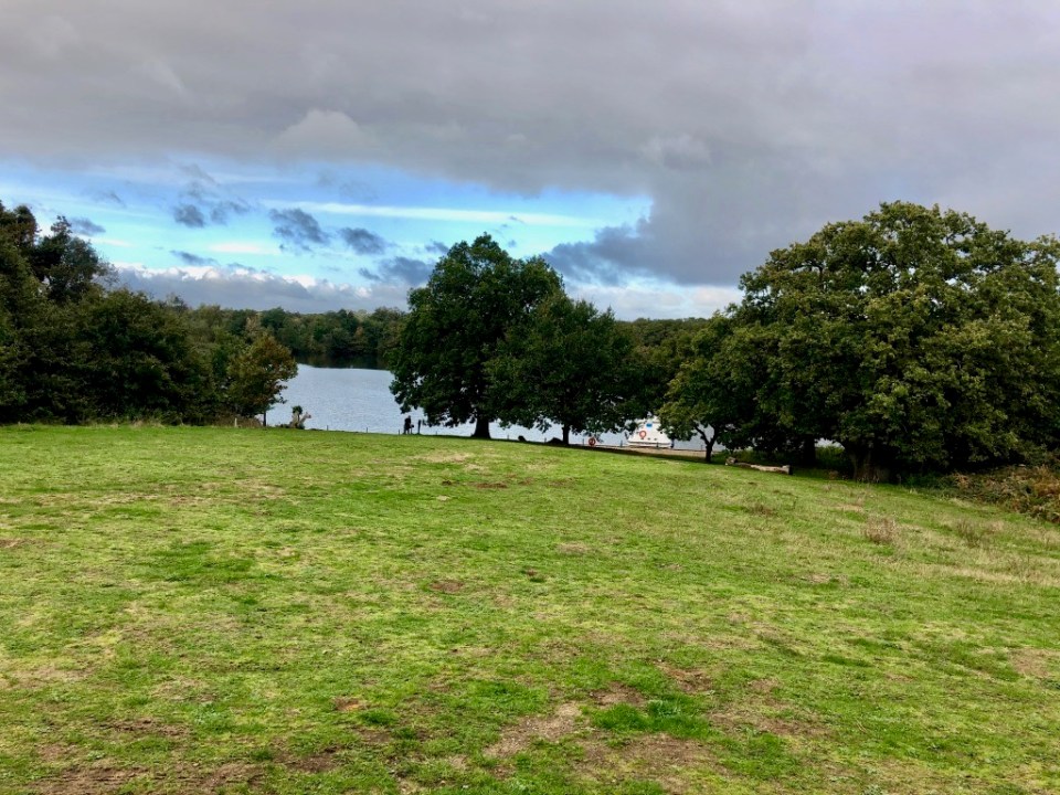 Still pretty green everywhere in October