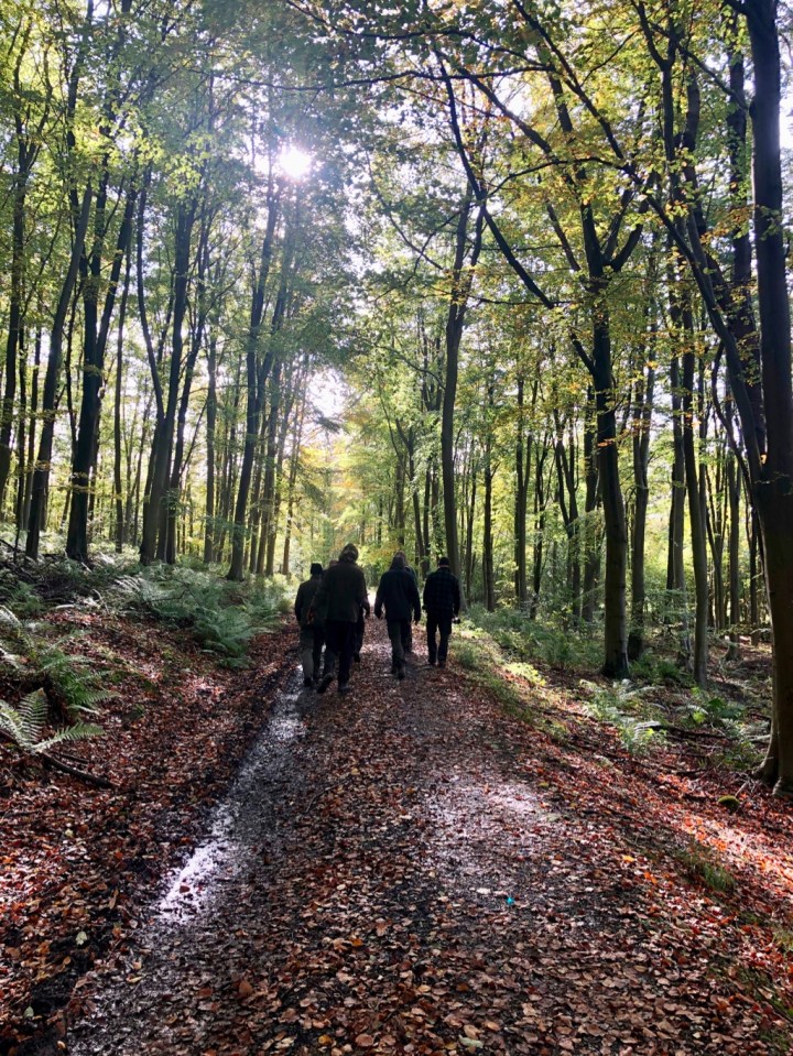 Woodland wanderings with the group