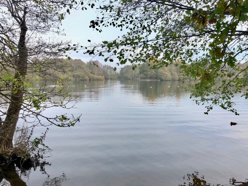 Salhouse Broad - water looks chilly