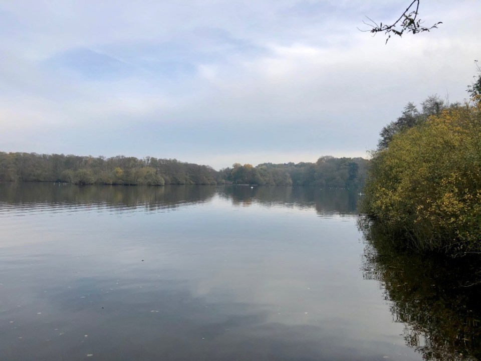 Salhouse Broad - still the odd boat about