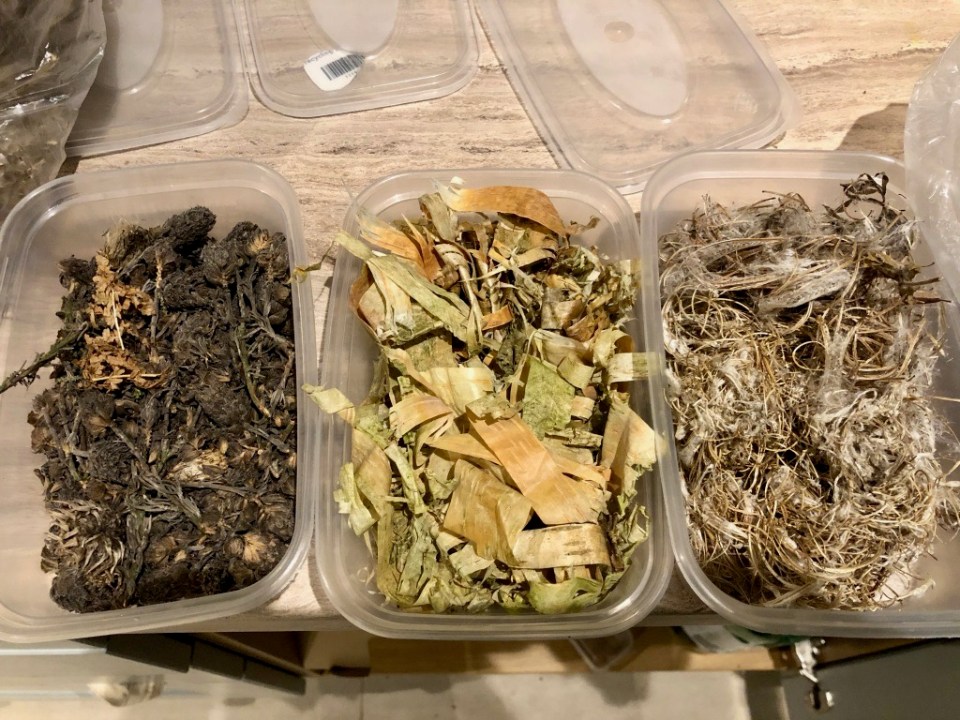 Birch bark and Rosebay Willowherb