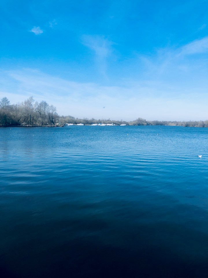 Ranworth Broad - very blue
