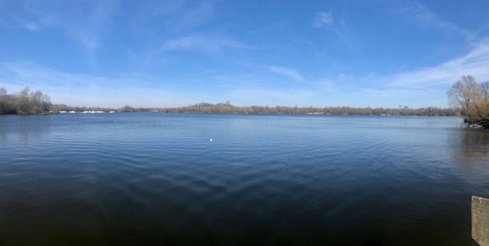 Ranworth Broad - definite lack of boats