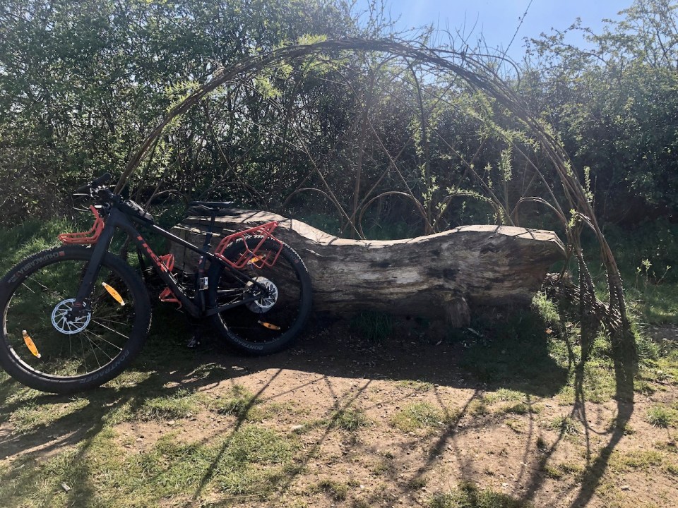 Break at the Willow bench
