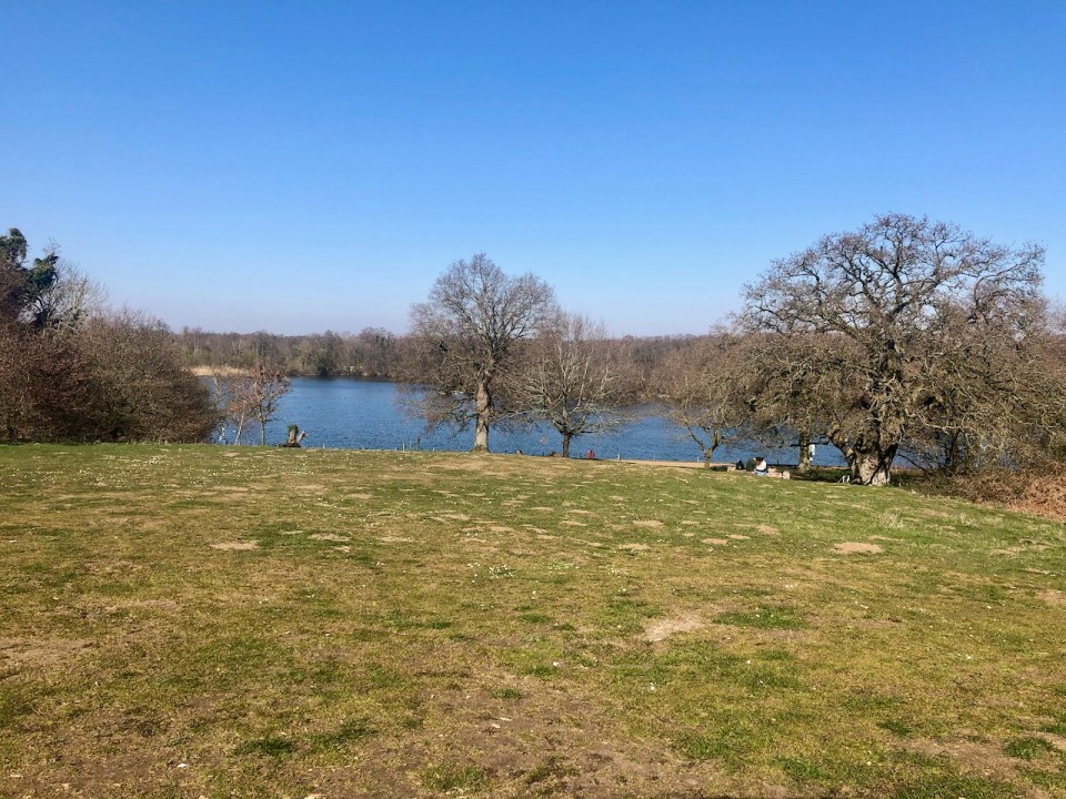 Salhouse Broad - view from the hill