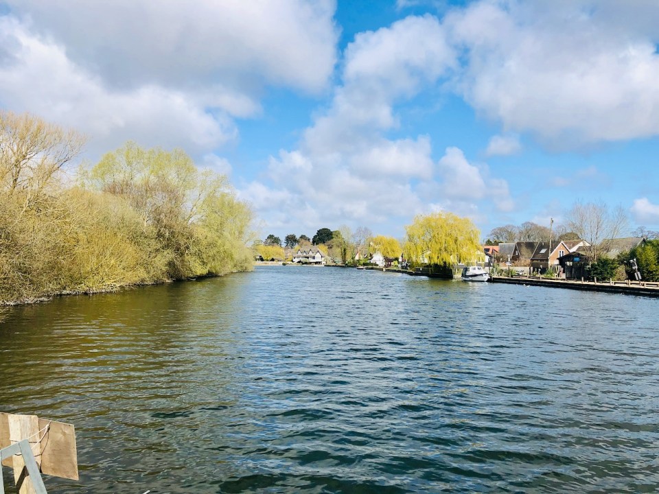 River Bure looking across to Horning