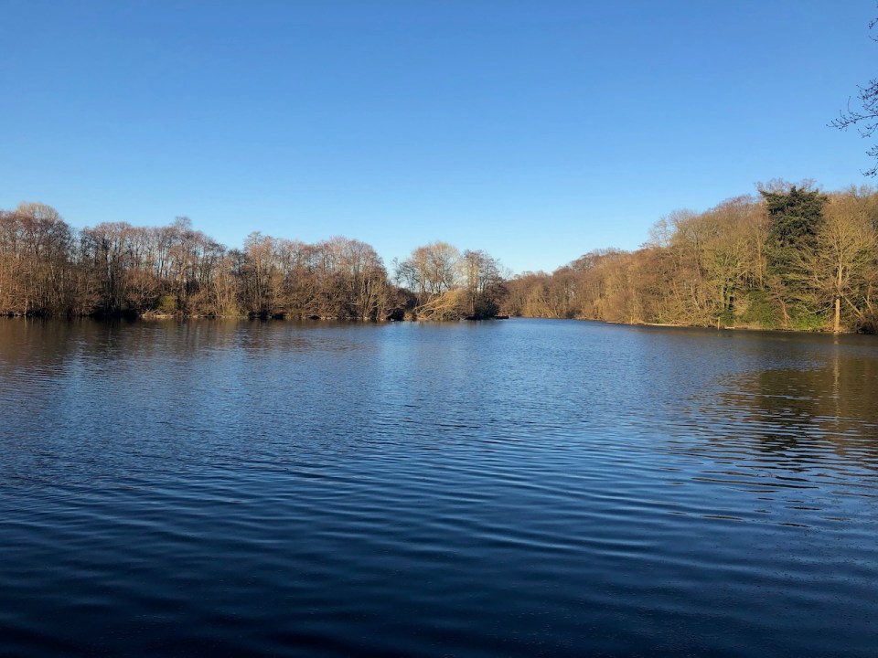 Salhouse Broad again