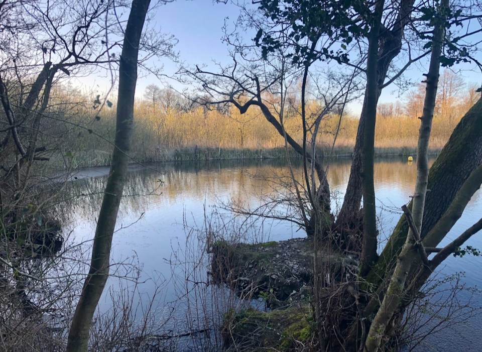 Salhouse Broad about 30 mins before sunset