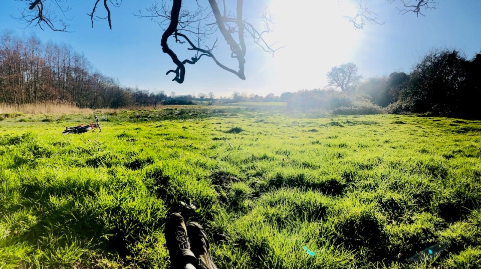 Pausing for a rest under an oak tree