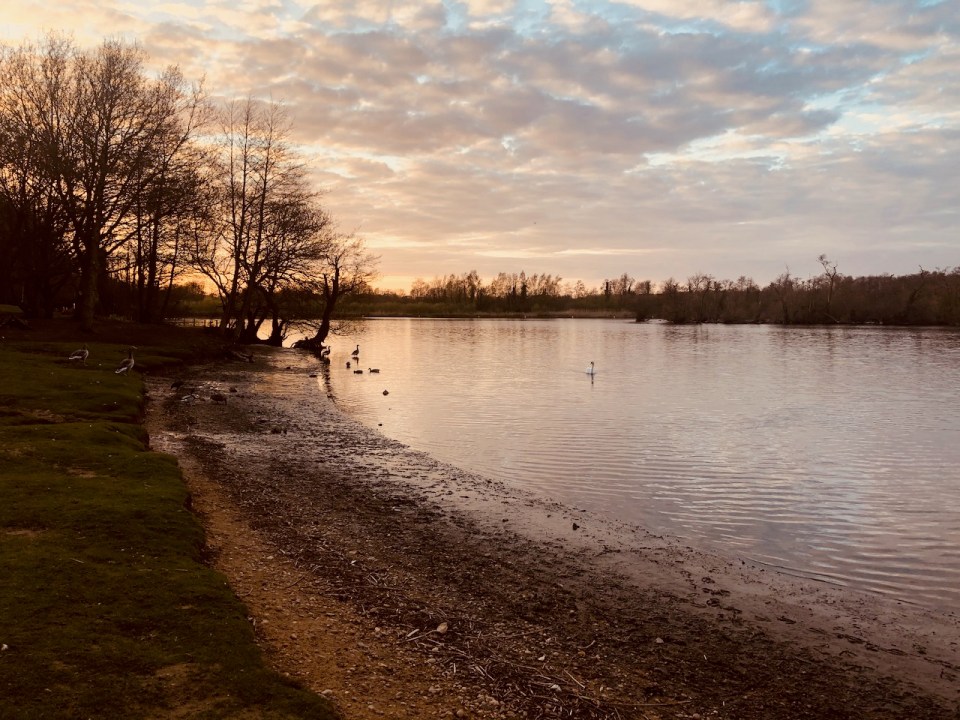 Salhouse Broad in the evening