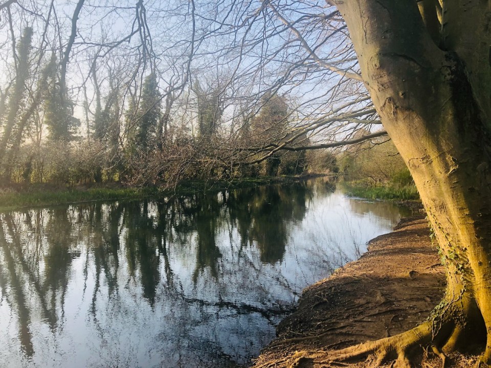 Following trail up river