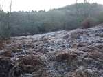 Wander up the hill - frost abounds
