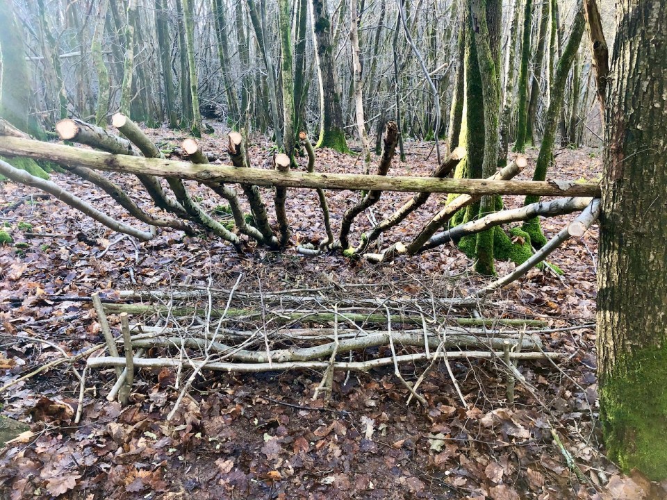 Shelter getting there