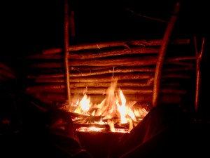 Long log fire with reflector