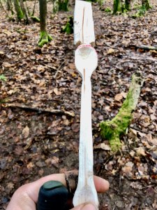 Spoon carving, getting there