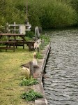 Spot the Grey Heron