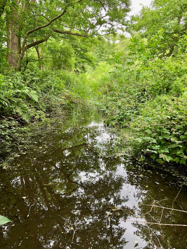 More hidden waterways