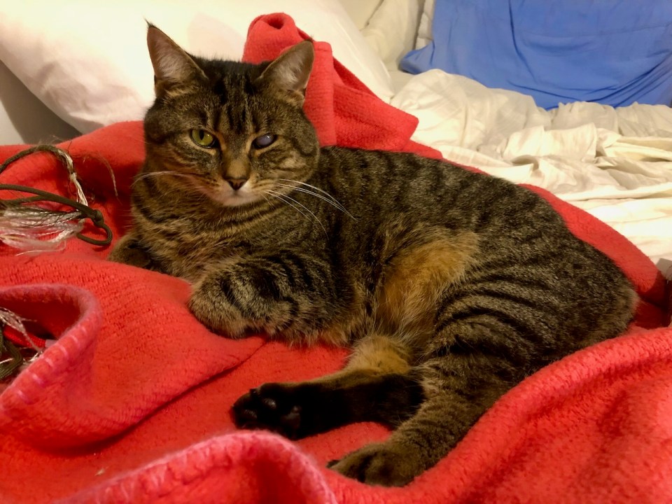 Just getting comfortable