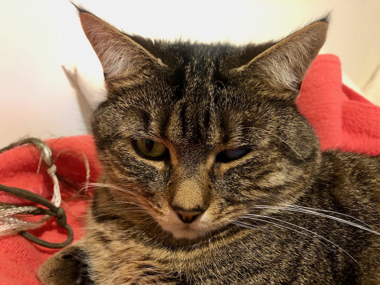 Why do I have to get up?