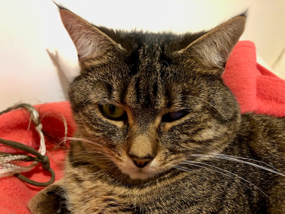 Why do I have to get up?