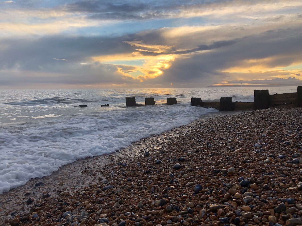 A visit to the beech
