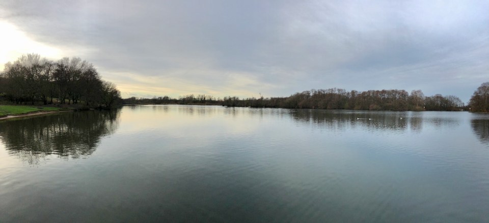 Salhouse Broad - peace