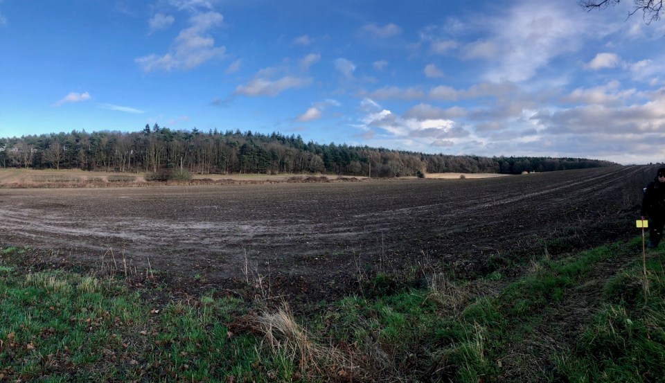 Road will cut through this landscape