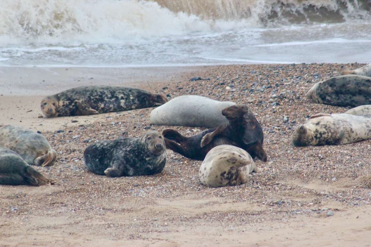 Multi-coloured fluffiness