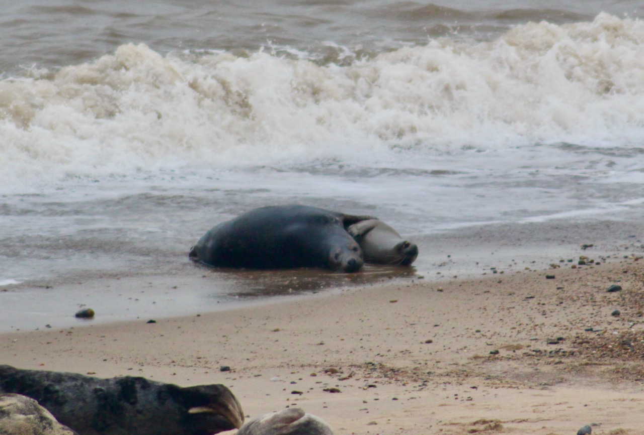 What you looking at?