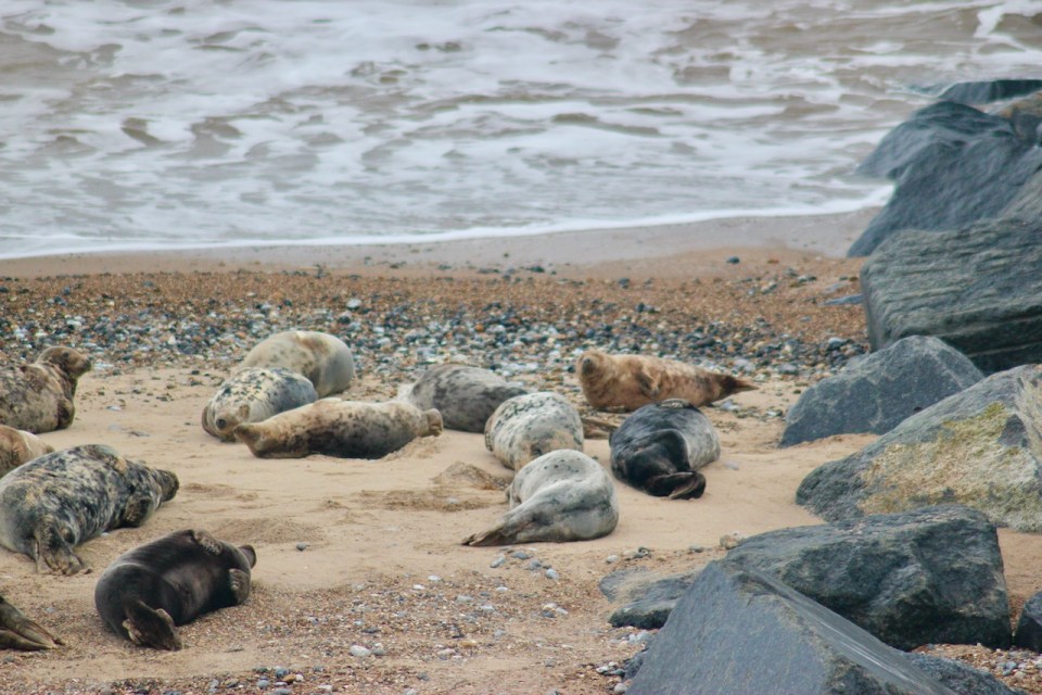 Some final fluffiness