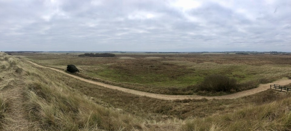 Behind the dines - bit flat and floodable