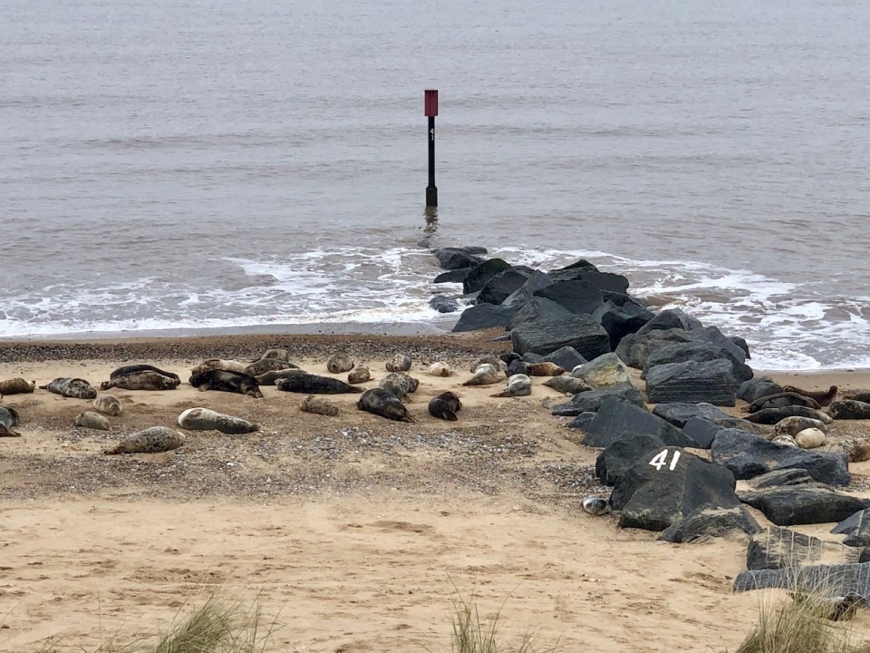 Best just to take it easy