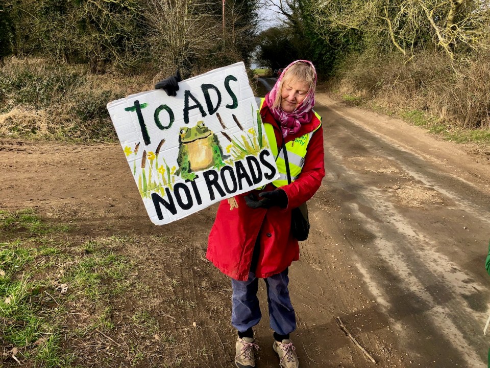 Toads Not Roads