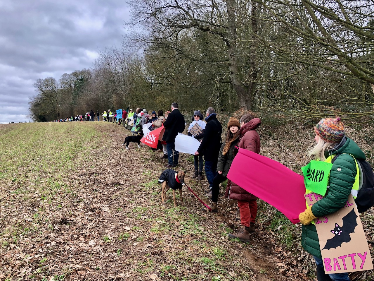 Lining the route to the road will cut through