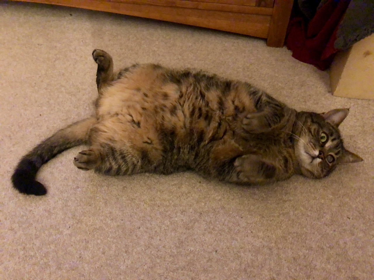 Gideon - it's a Trap!