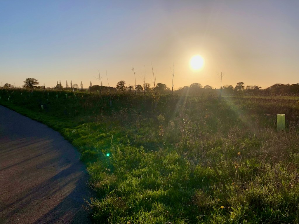 Sun low at this time of year