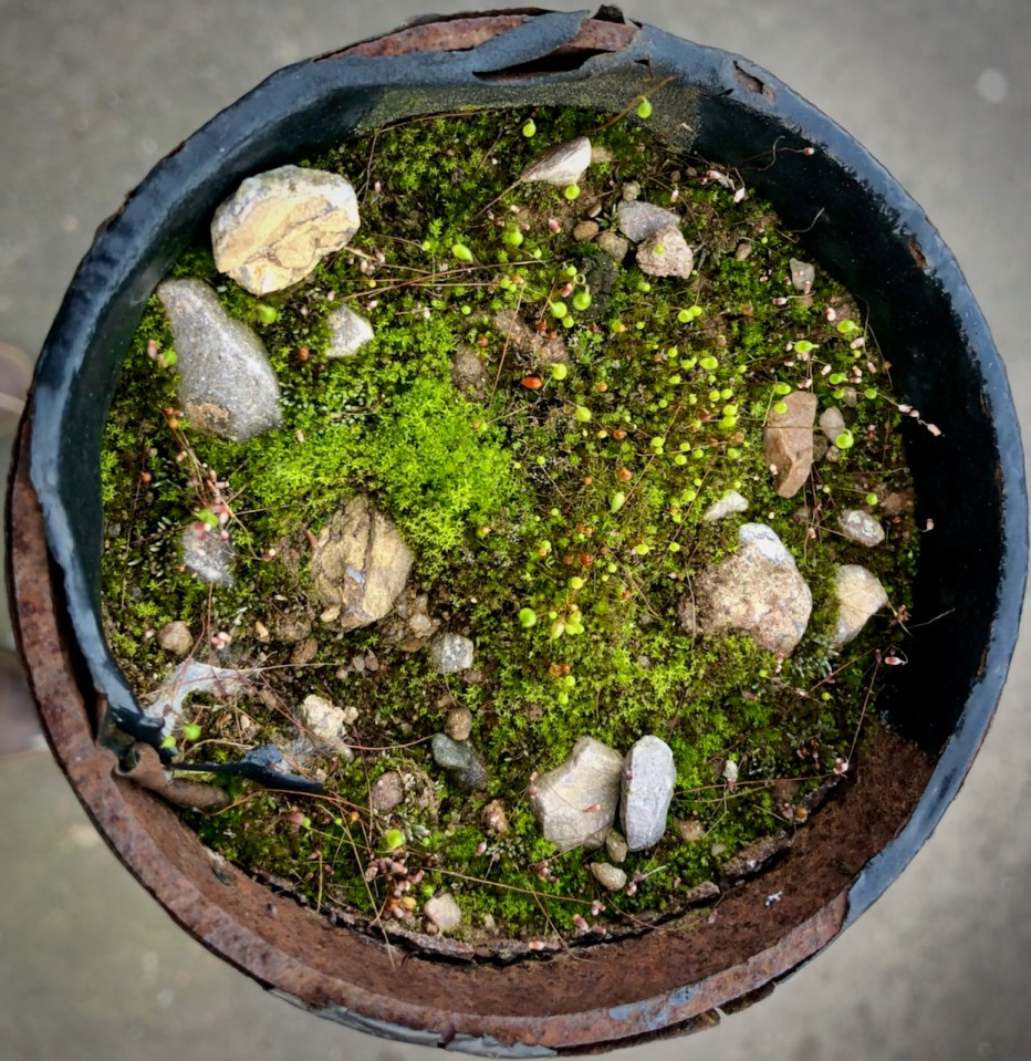 A world within a world