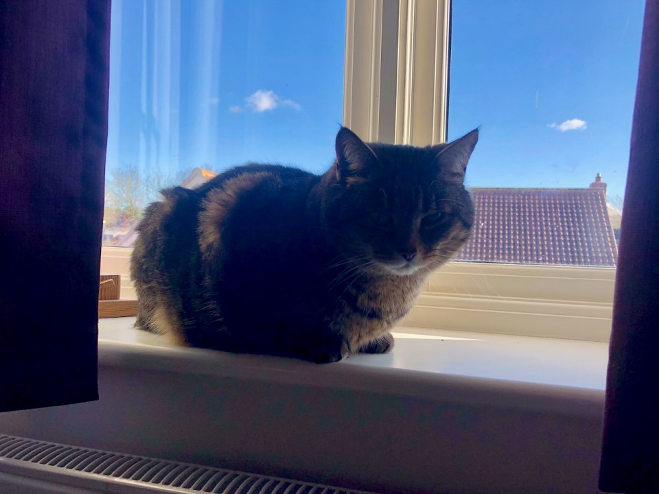 Taking in some sunshine