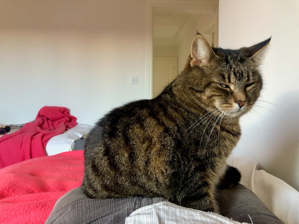 Gideon getting some lap time