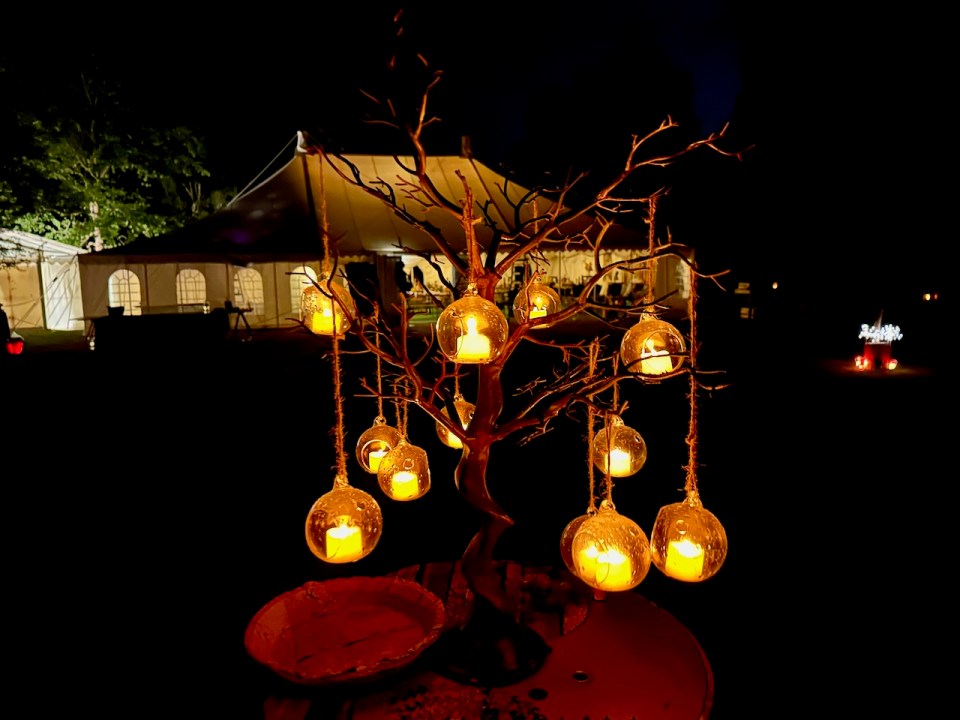 A magical evening