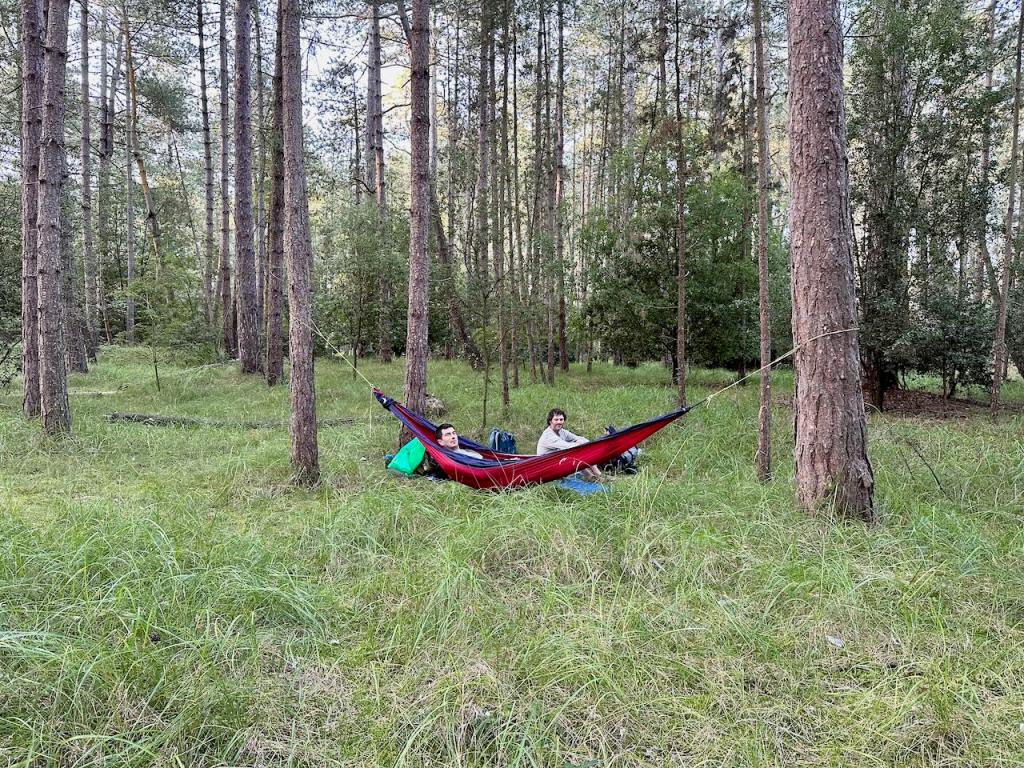 Hammocks for the win