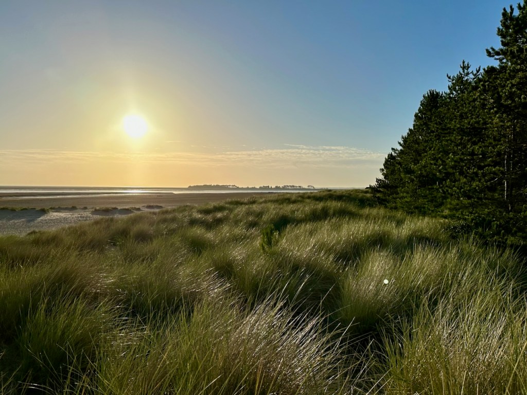 Sun rises over the dunes