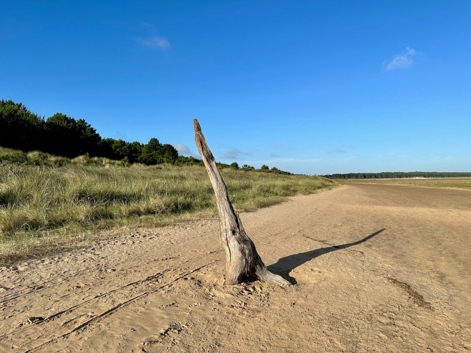 A natural sundial