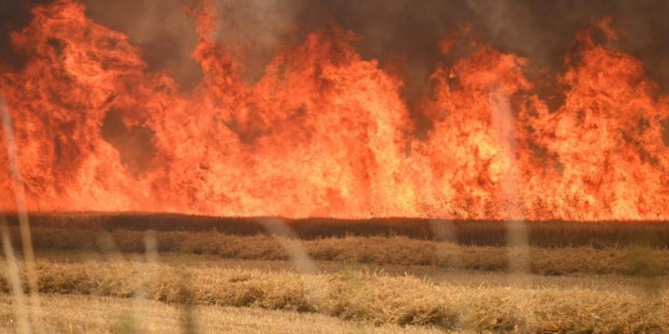 Norfolk field fire 15 August