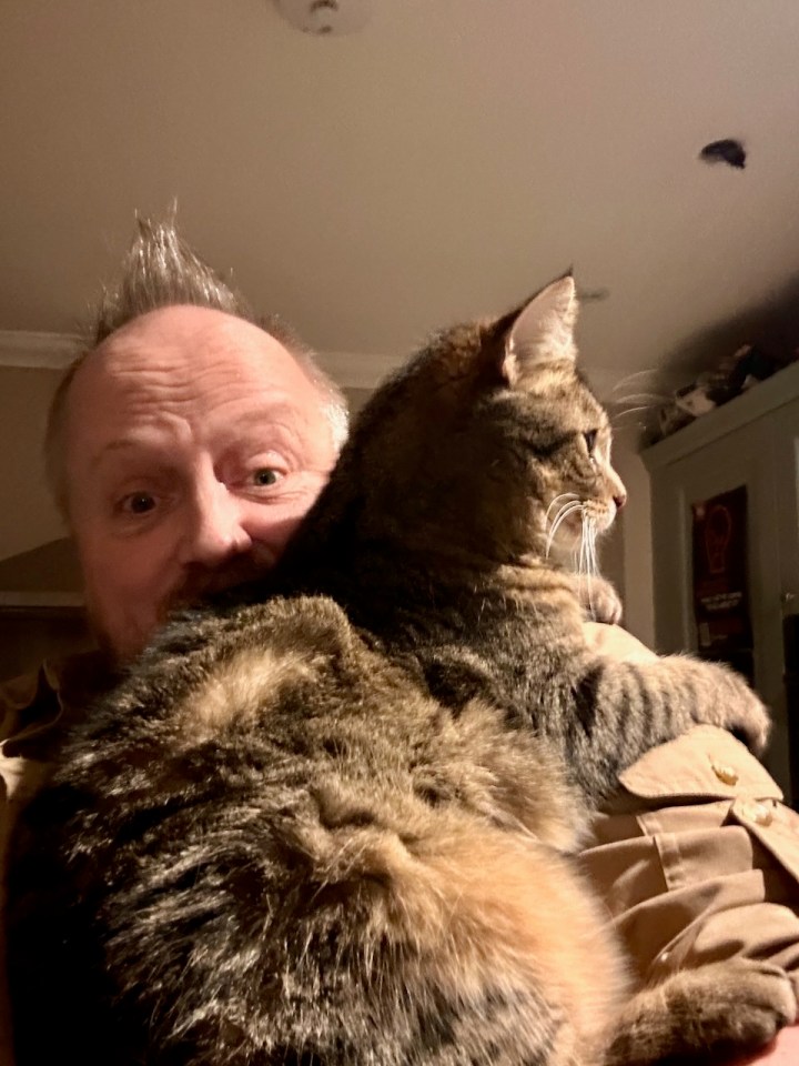 Home - Happy cat