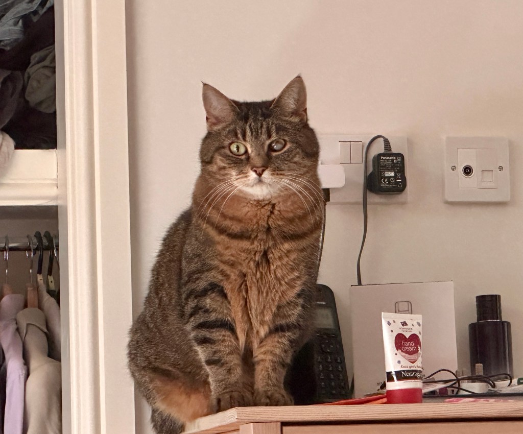 Gideon passing judgement