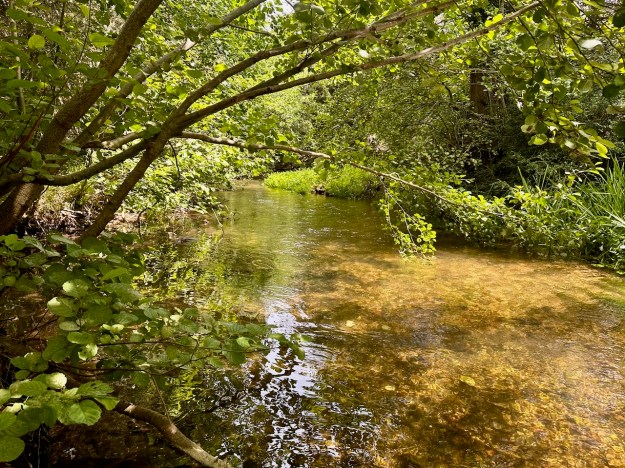 River Nar - West Norfolk