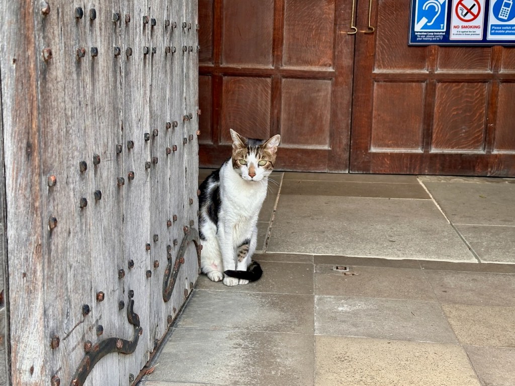 Budge, on door duty - Norwich Cathedral